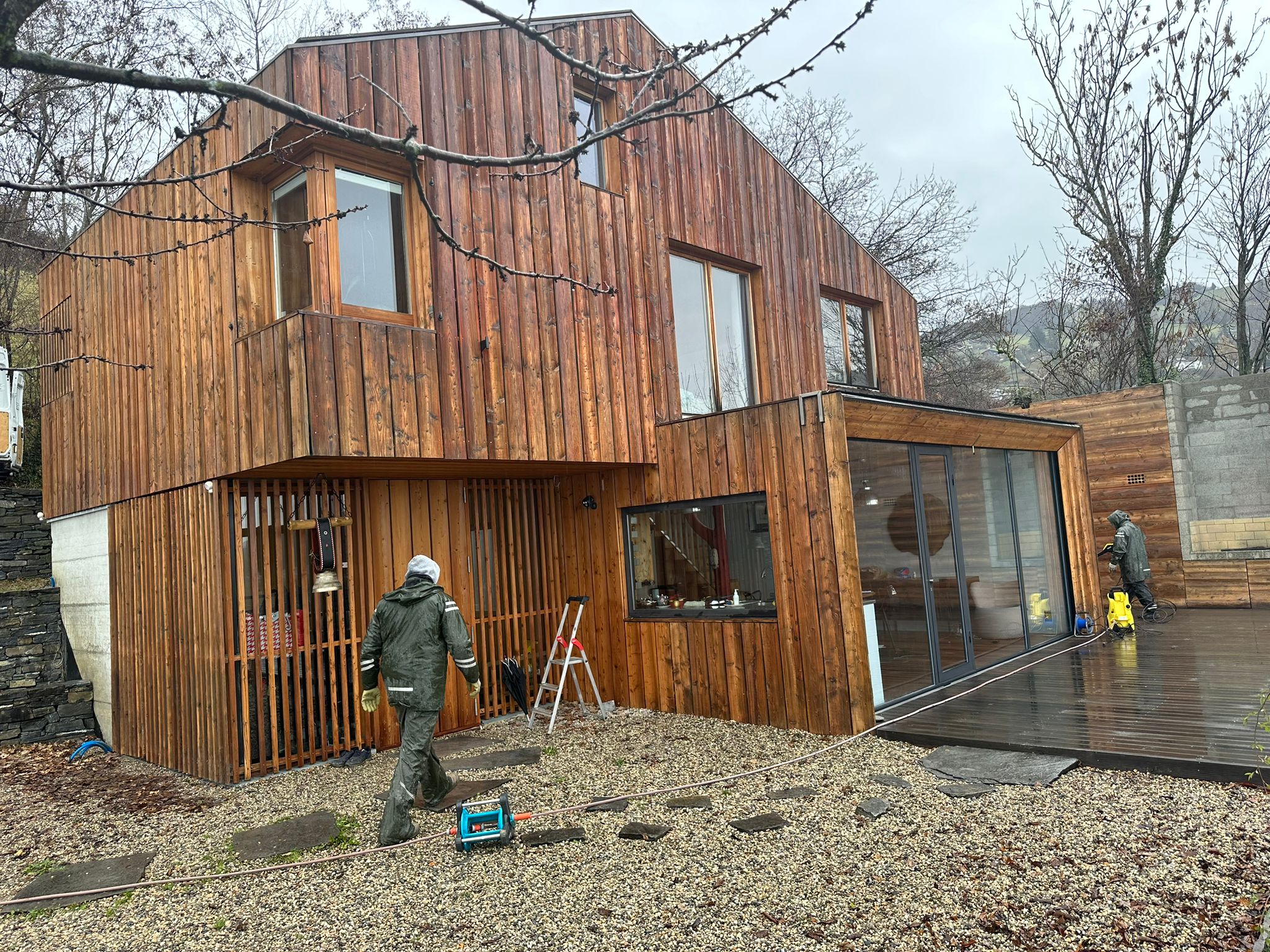 Avant Après insectes 1